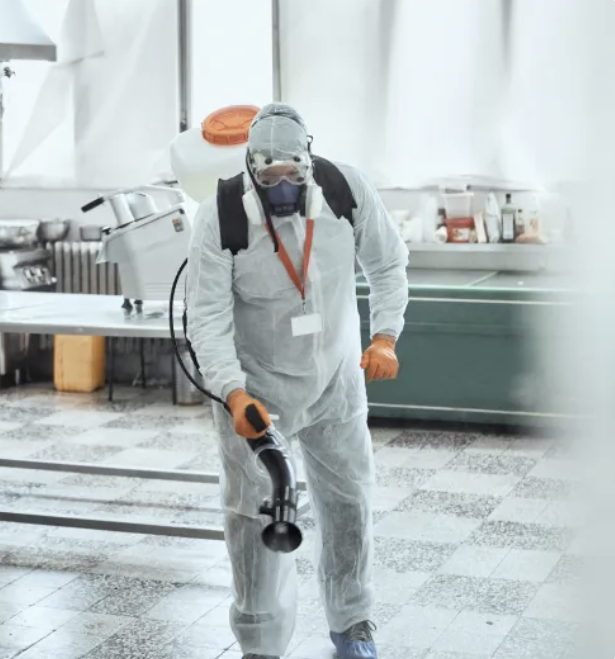 Disinfection service